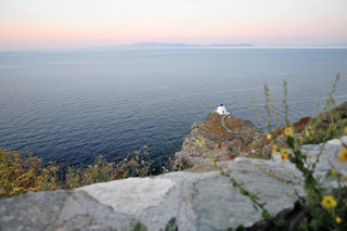 Segeln in Griechenland 2009 - Kykladen - Dr. Theodor Yemenis - Sail and Dive Adventures