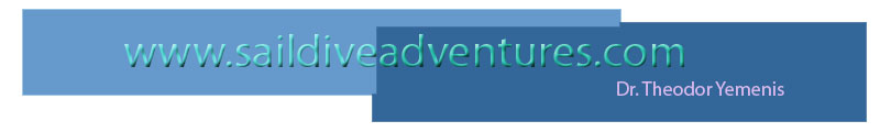 E-Newsletter Header