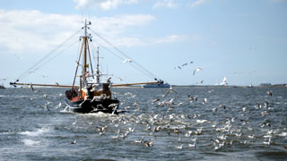 SKS Holland - Theodor (Doc) Yemenis - Segeln und Tauchen
