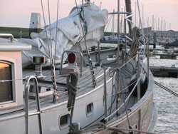 Modernes Holland 2